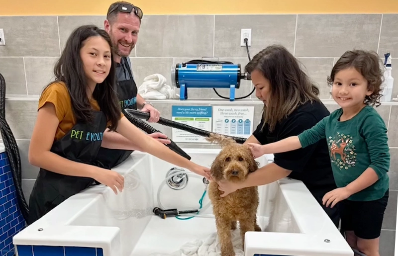 Pet Experts in Cypress Share Surprising Facts and Benefits of Washing Your Dog