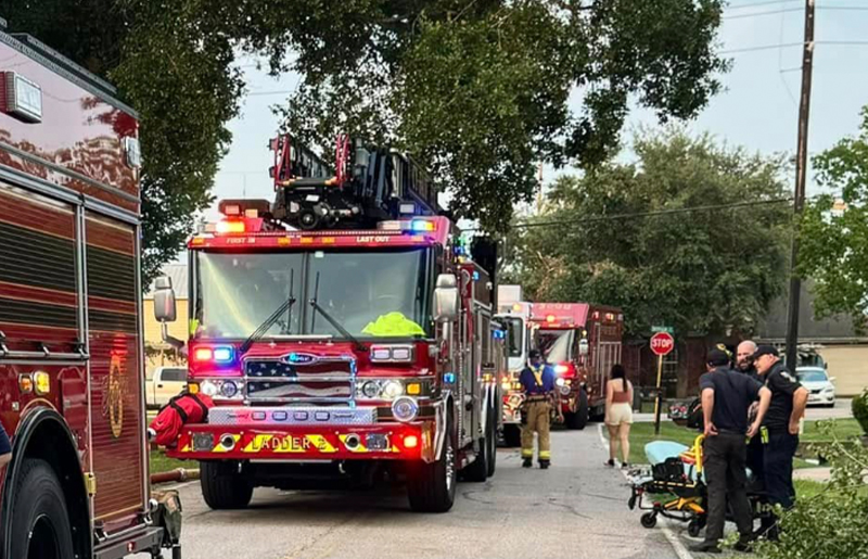 Overhanging Tree Growth in Concord Bridge Could Delay 911 Help—Here’s What Residents Need to Know