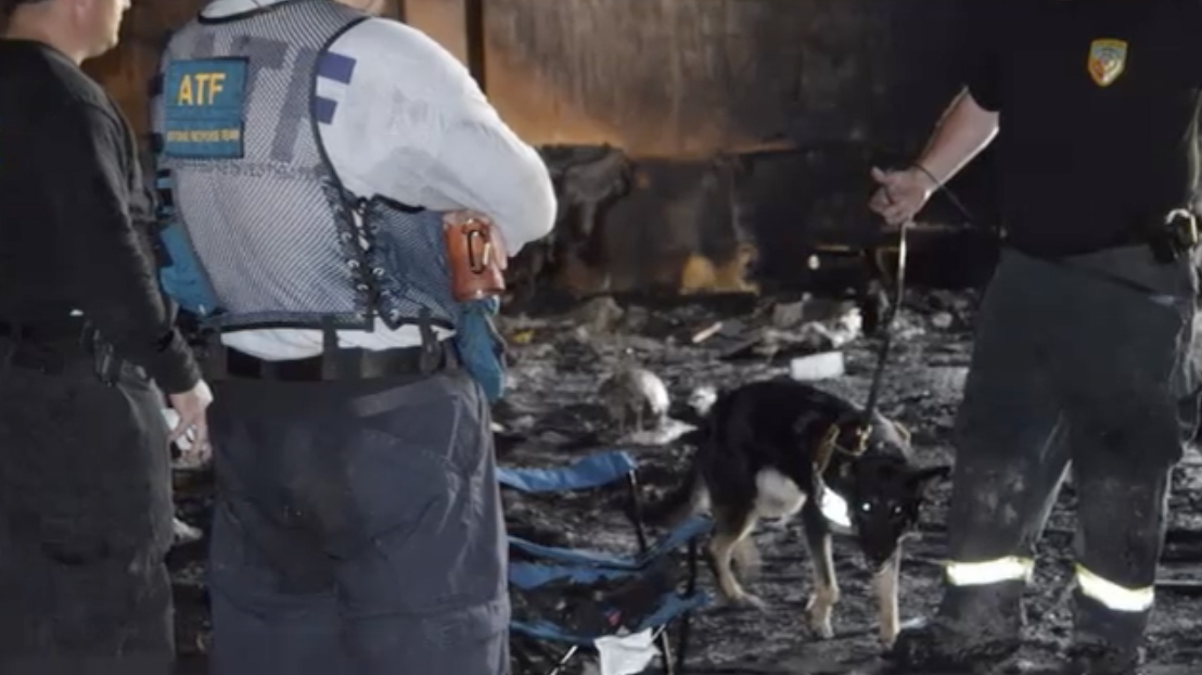 In Memory of K9 Arson Officer Bella: Fort Bend County’s First Accelerant Detection Dog Leaves Legacy of Loyalty and Justice