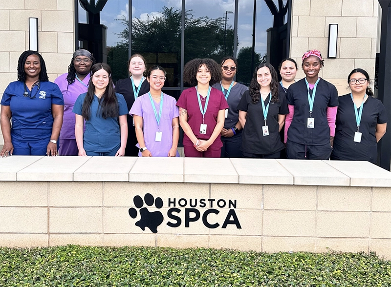 Houston SPCA Launches New Summer Jobs Program for Students on Career Path in Veterinary Medicine