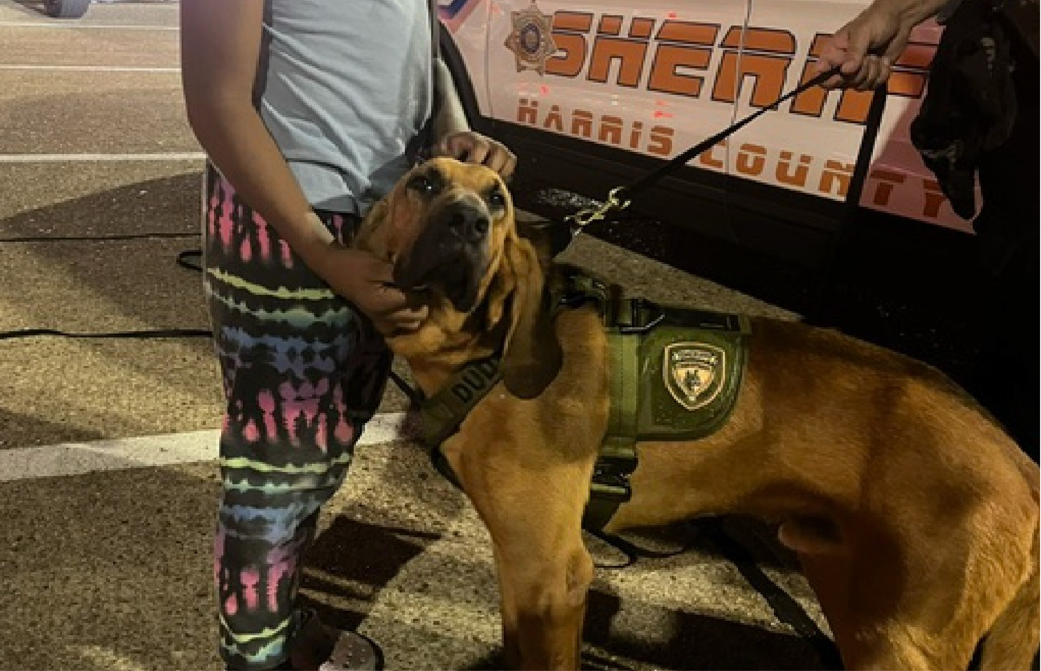 K9 Dudley Leads Harris County Sheriff's Office to Safe Recovery of Lost 8-Year-Old Child