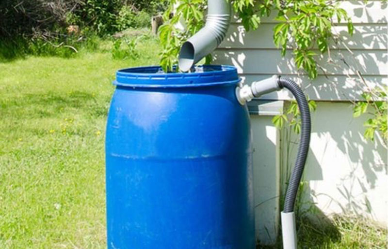Discover Rainwater Harvesting with Free Workshop Hosted by Fort Bend County Master Gardeners