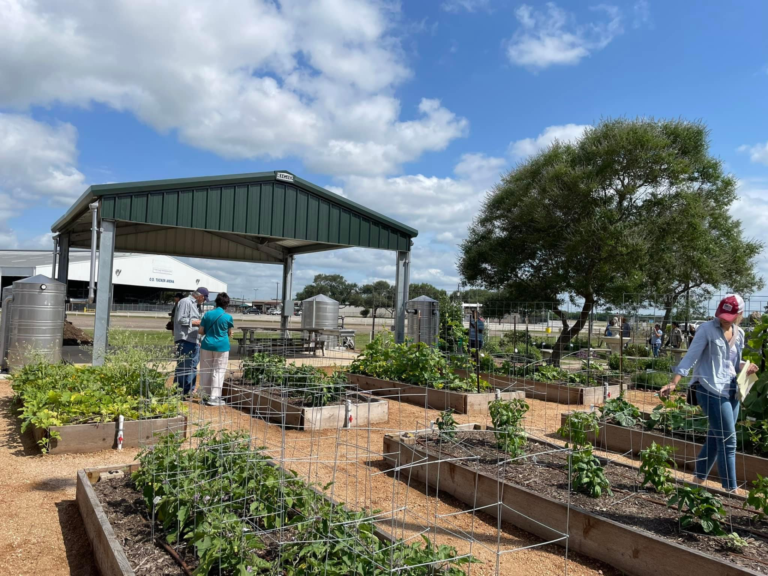 Fort Bend County Master Gardeners' Vegetable Garden Education Center Wins First Place at Texas Master Gardener State Conference
