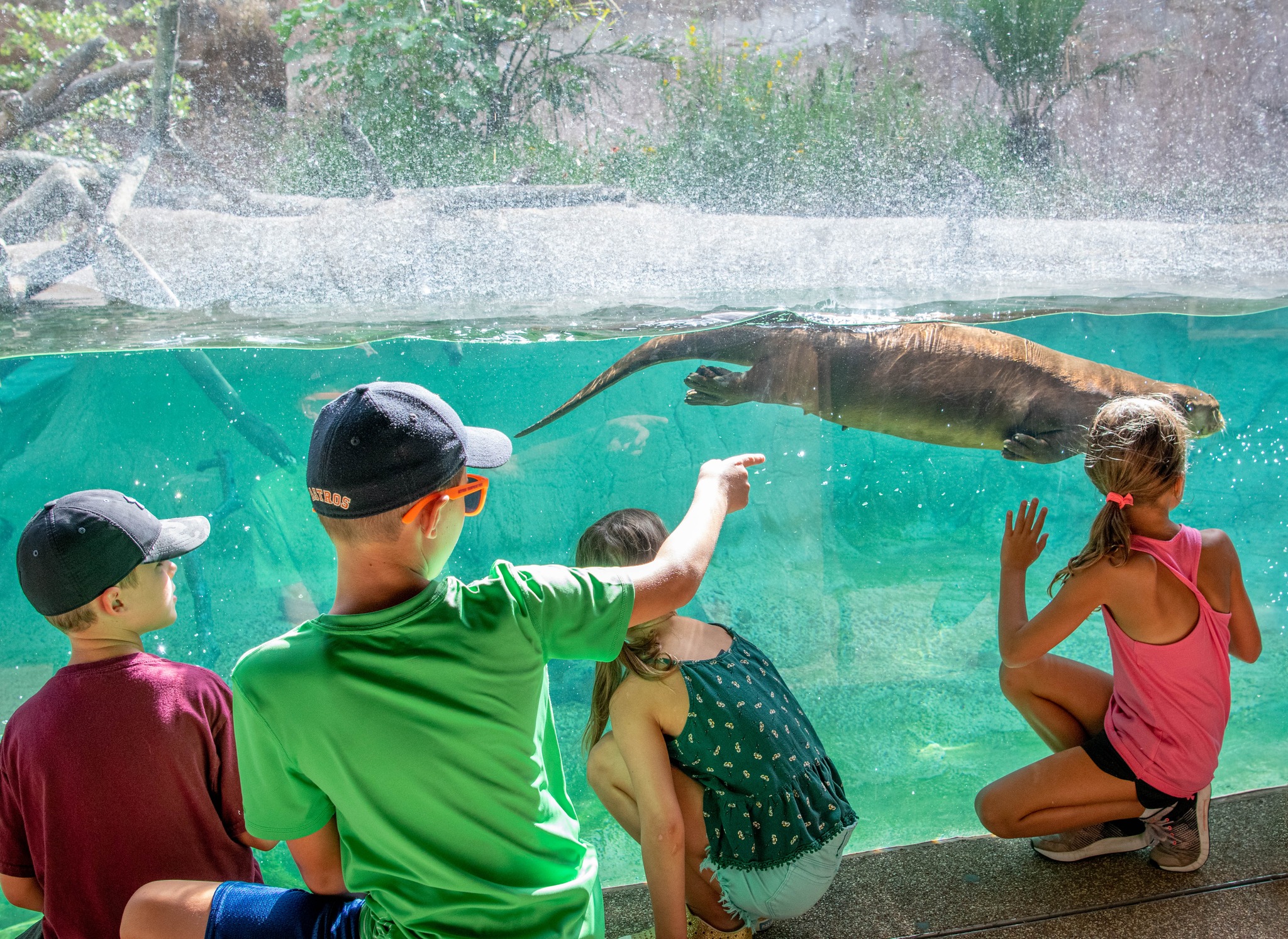 5 Tips for Your Summer Zoo Visit