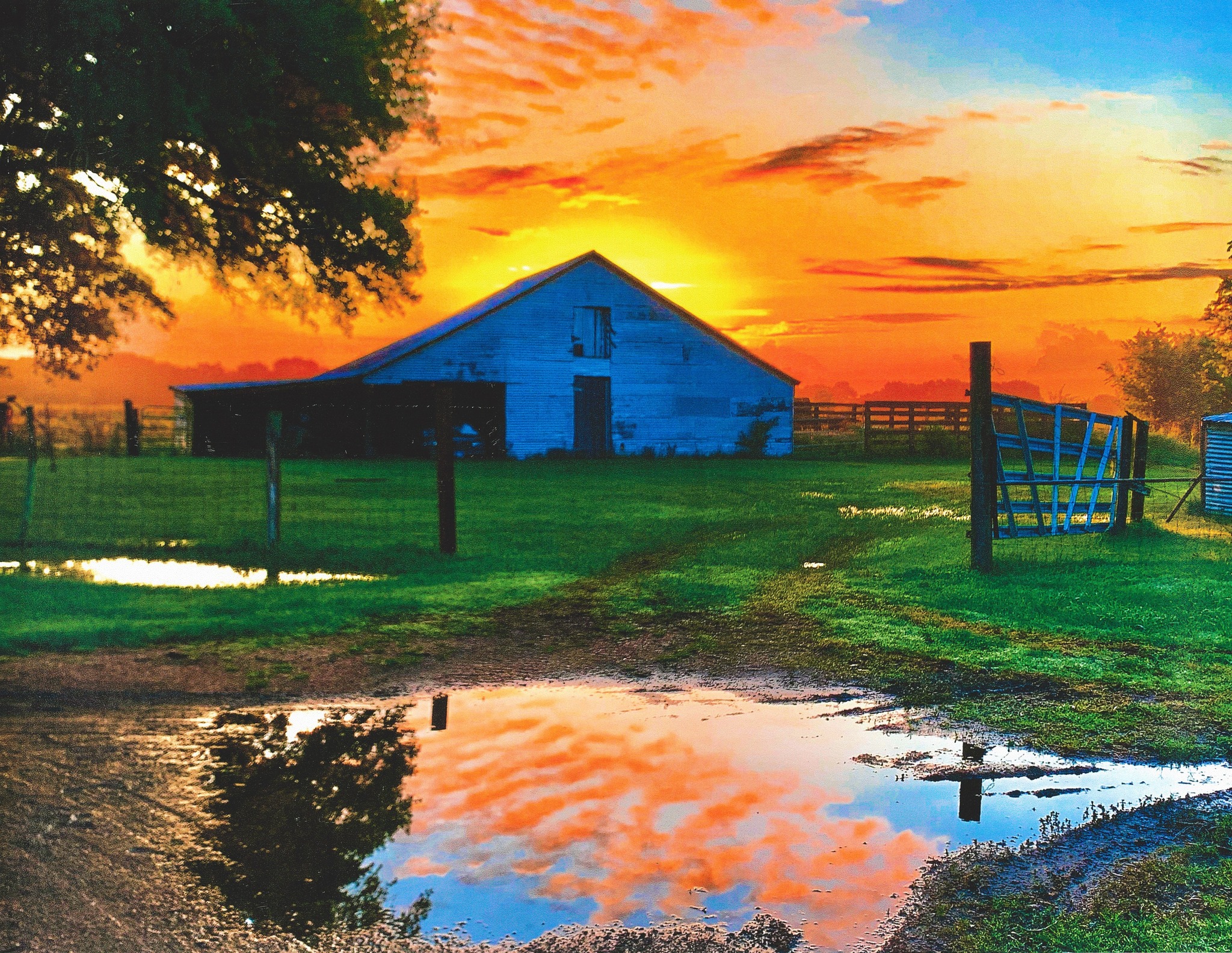 Entries Now Open for Fort Bend Libraries’ 2025 'We Are Fort Bend' Photography Contest