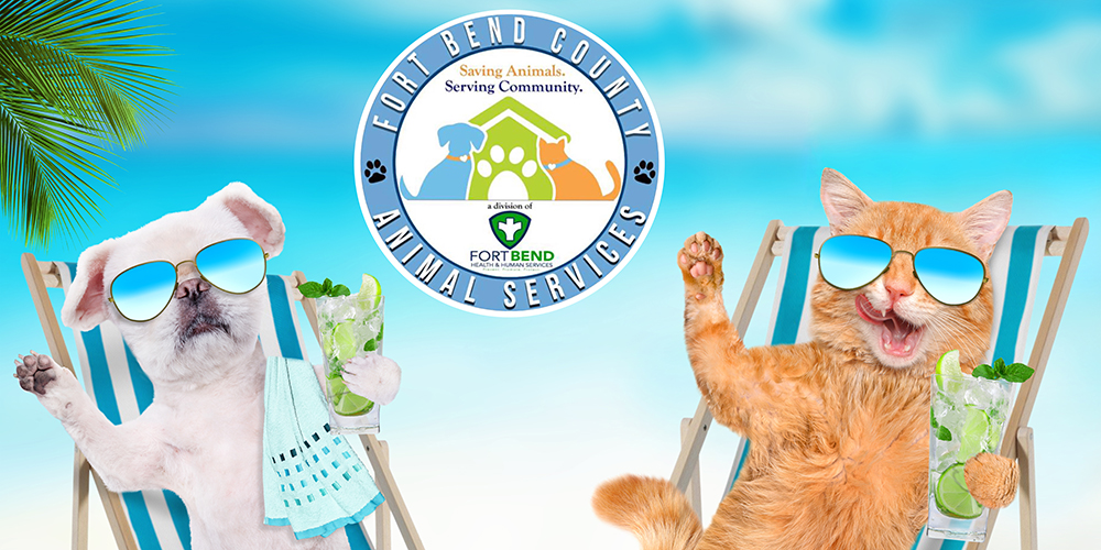 Summer Beach Pawty Adoption Event Brings Fun, Food, and Furry Friends to Fort Bend County