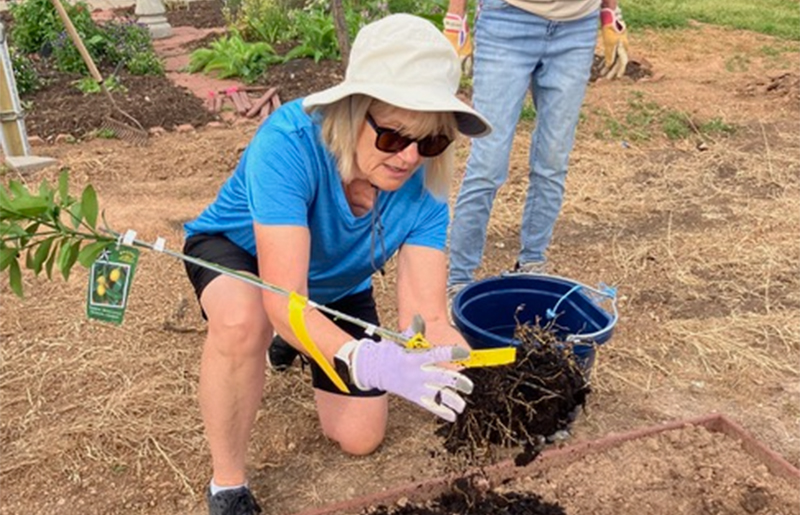 Newly Unveiled Fruit Garden Blossoms at Fort Bend County Master Gardeners' Demonstration Site