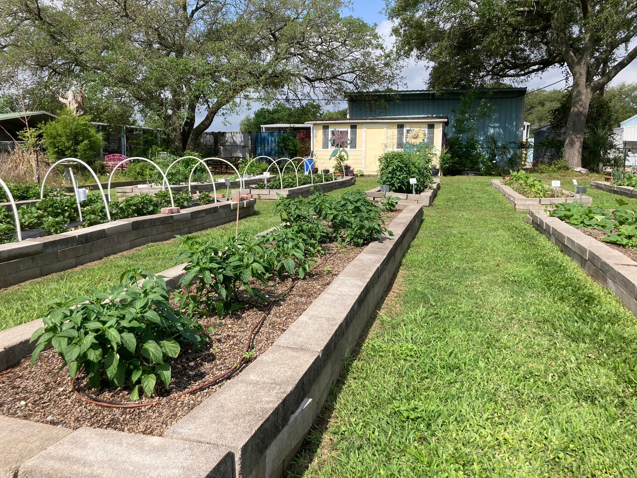 Harris County Master Gardeners Announces March Events