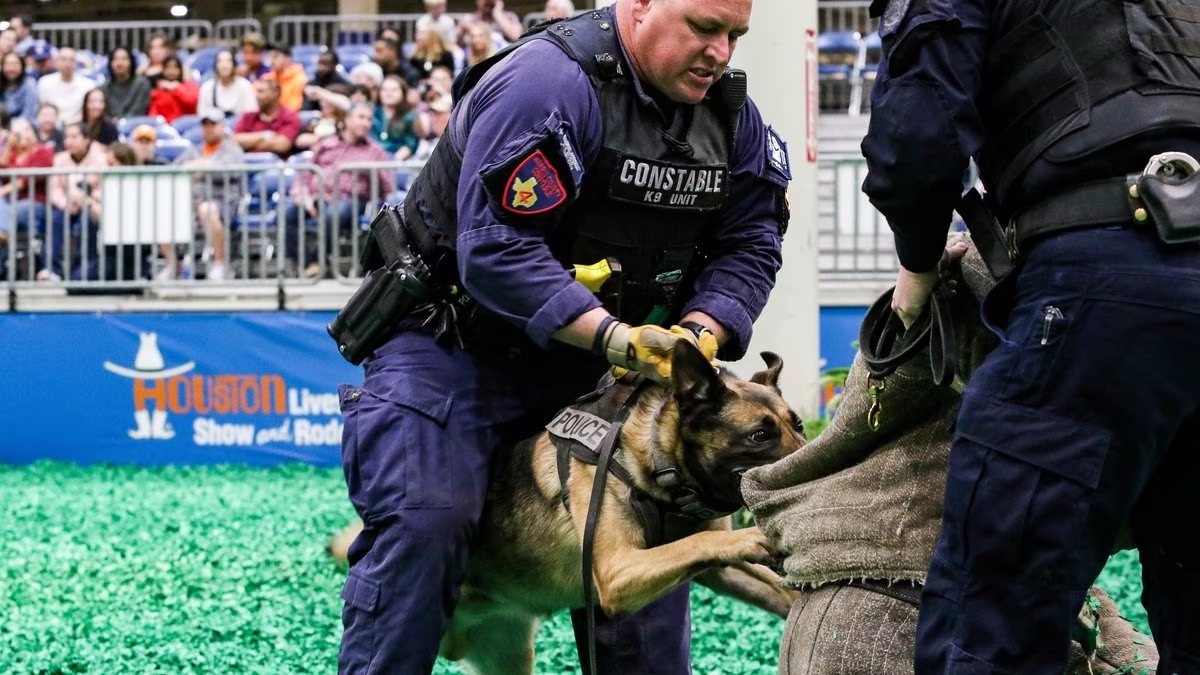 Constable K9 Unit to Participate in Annual Hard Dog, Fast Dog Competition at HLSR