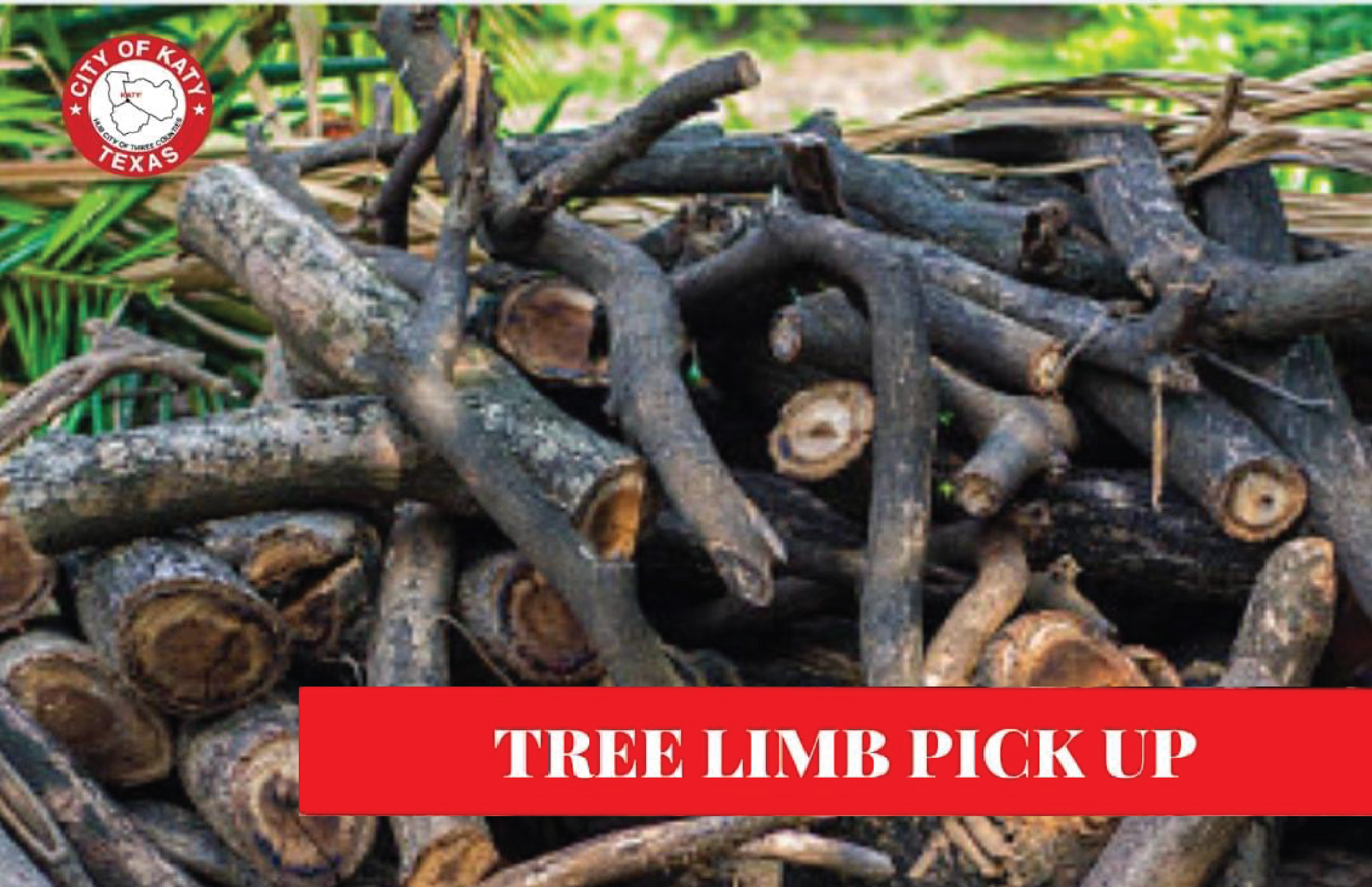 City of Katy Public Works to Perform Quarterly Tree Limb Pickup
