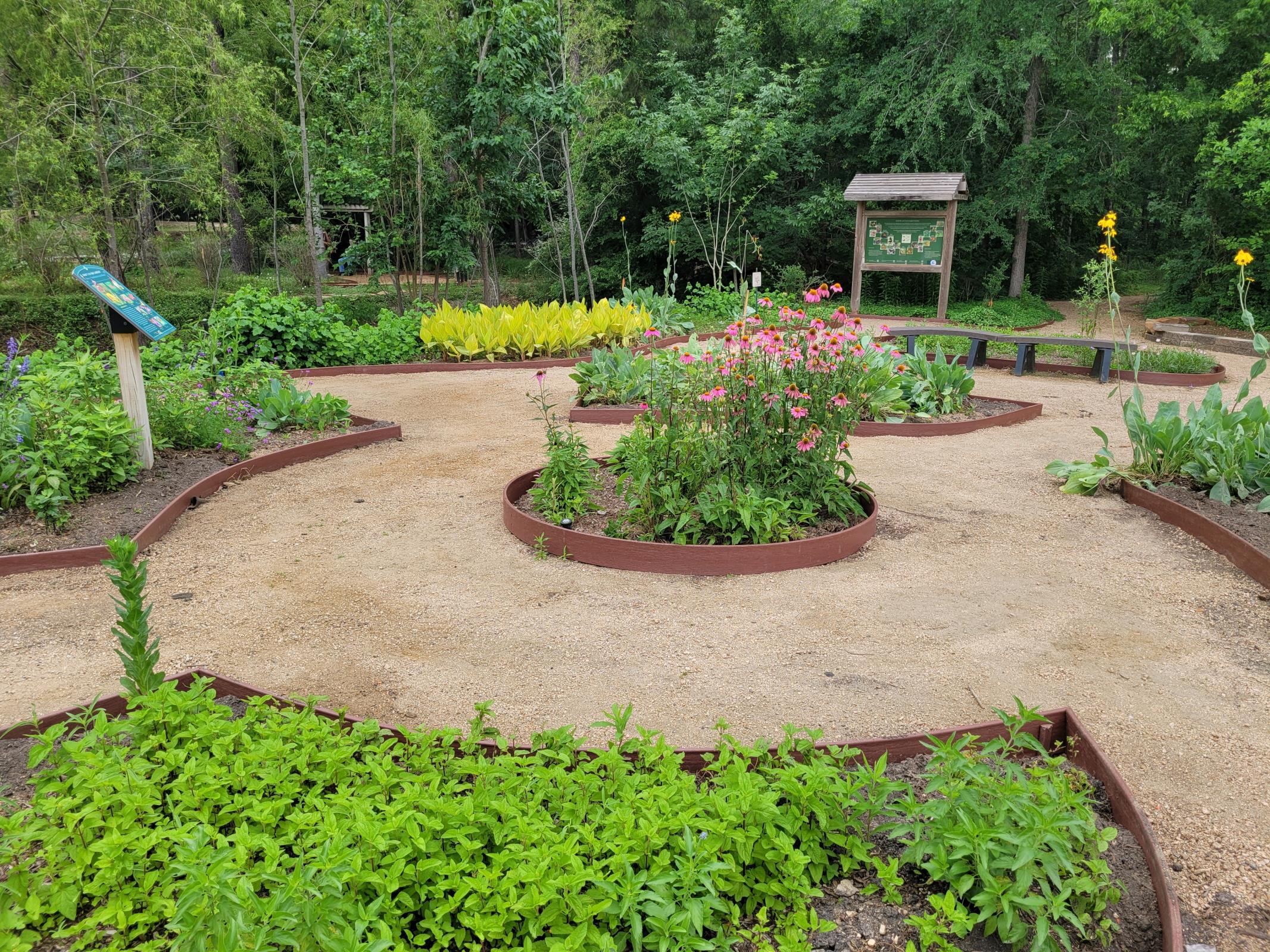 Precinct 3 Completes a Garden Just for Butterflies at Dennis Johnston Park