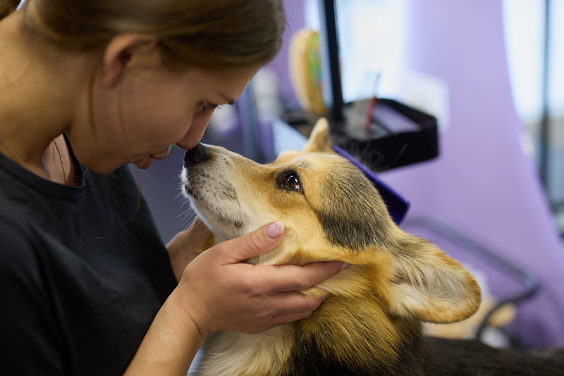 Cypress Area Grooming Experts Share Surprising Health Benefits of Trimming Pets Nails