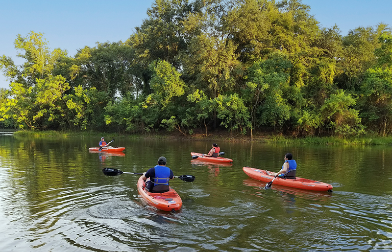 Discover Kayaking and Canoeing Adventures at Kickerillo-Mischer Preserve Near Vintage Park