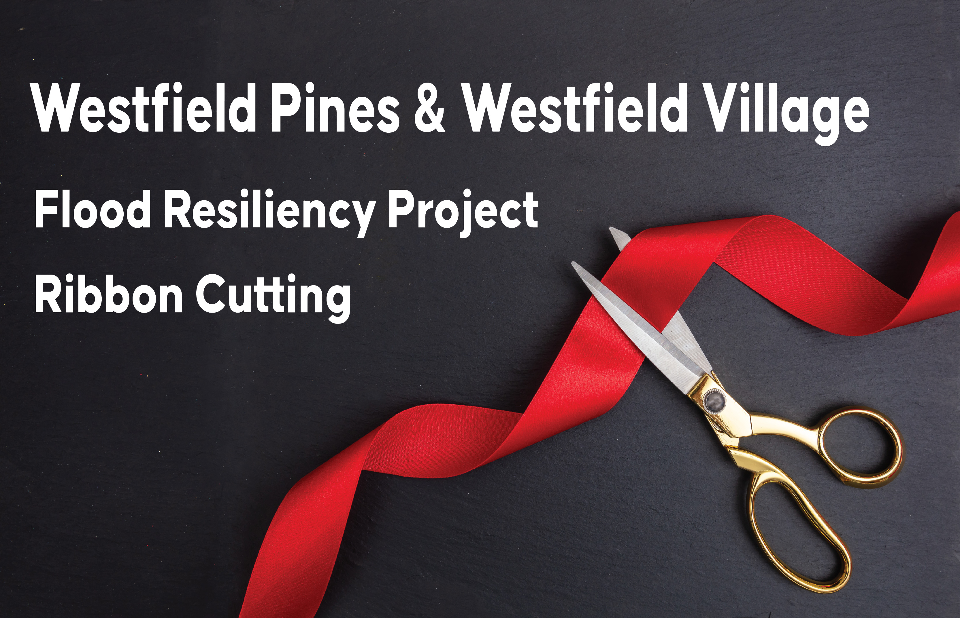 Commissioner Lesley Briones Announces Completion of Westfield Pines and Westfield Village Flood Resiliency Project