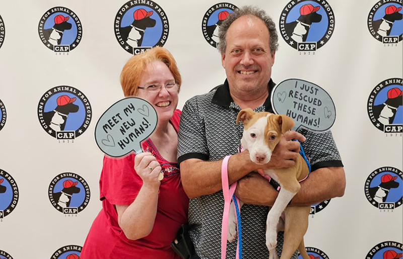 Kick Off Summer with Compassion: Free Pet Adoptions and Family Fun at CAP’s June 7 Event