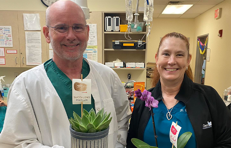 Cinco Ranch Veterinary Hospital Celebrates 27 Years of Trusted Pet Care and Community Service in Katy