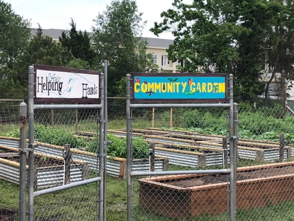 Community Garden Thrives in Northwest Houston