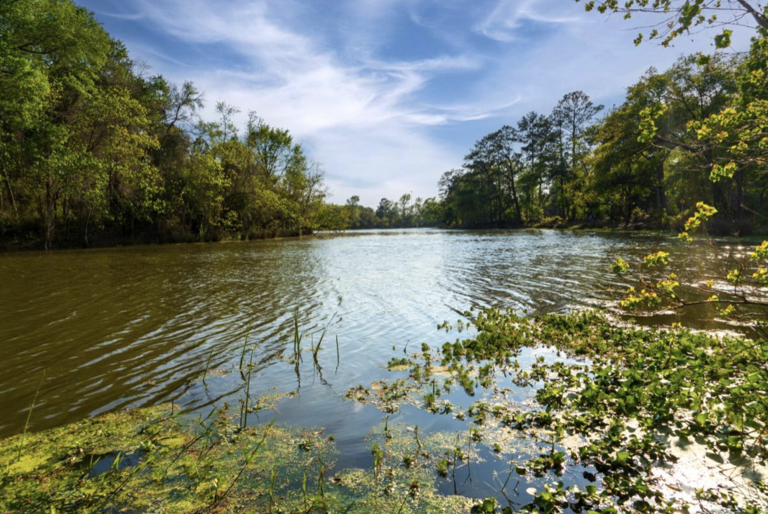 Cast a Line at These Cypress Area Lakes