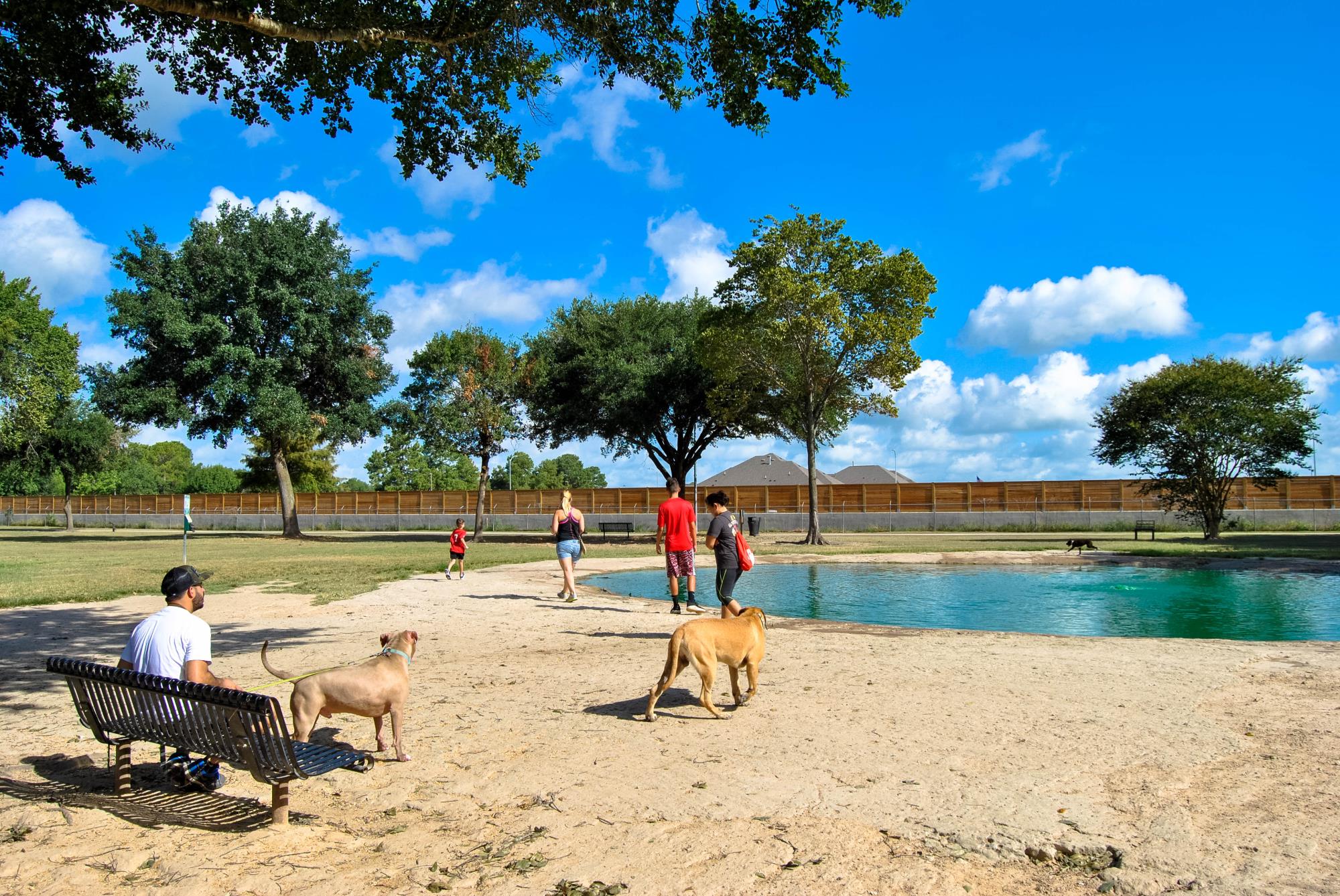 Bring Your Furry Friends to the Katy Dog Park