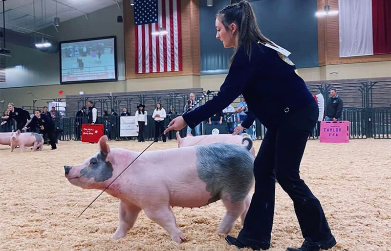 Katy ISD’s Agricultural Sciences Program Prepares Students for Future Careers with Hands-On Learning