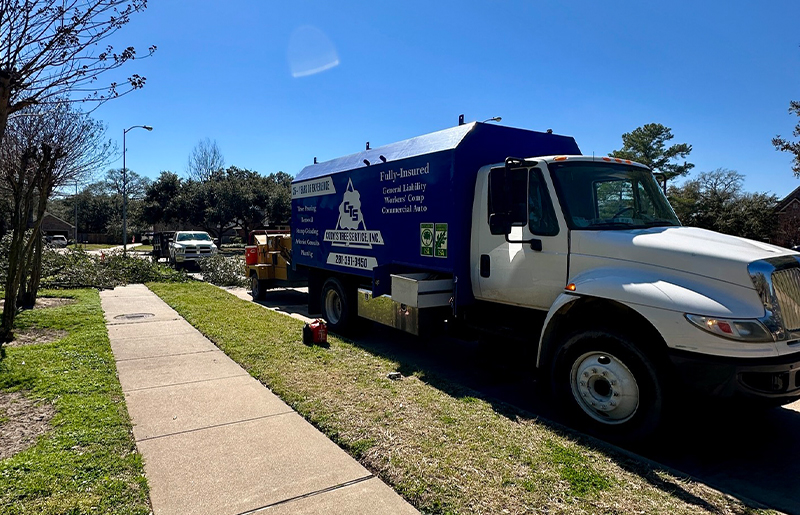 Tree Trimming Project Scheduled for Grayson Lakes