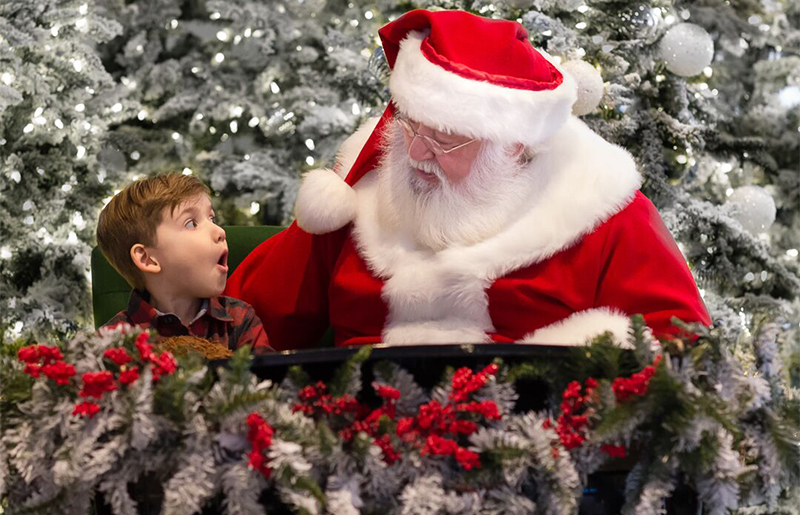 Capture Holiday Magic: Santa Photos at Willowbrook Mall in Houston for 2024