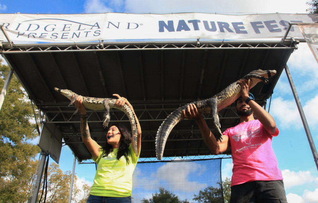 Bridgeland Goes Wild at the 14th Annual Nature Fest