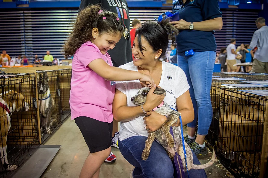 BARC Houston to Join Annual Mega Adoption Event at George R. Brown Convention Center