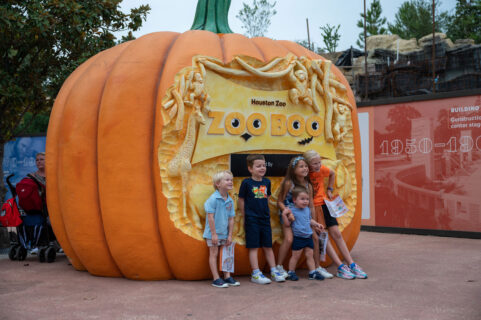 Celebrate Fall at the Houston Zoo with Zoo Boo