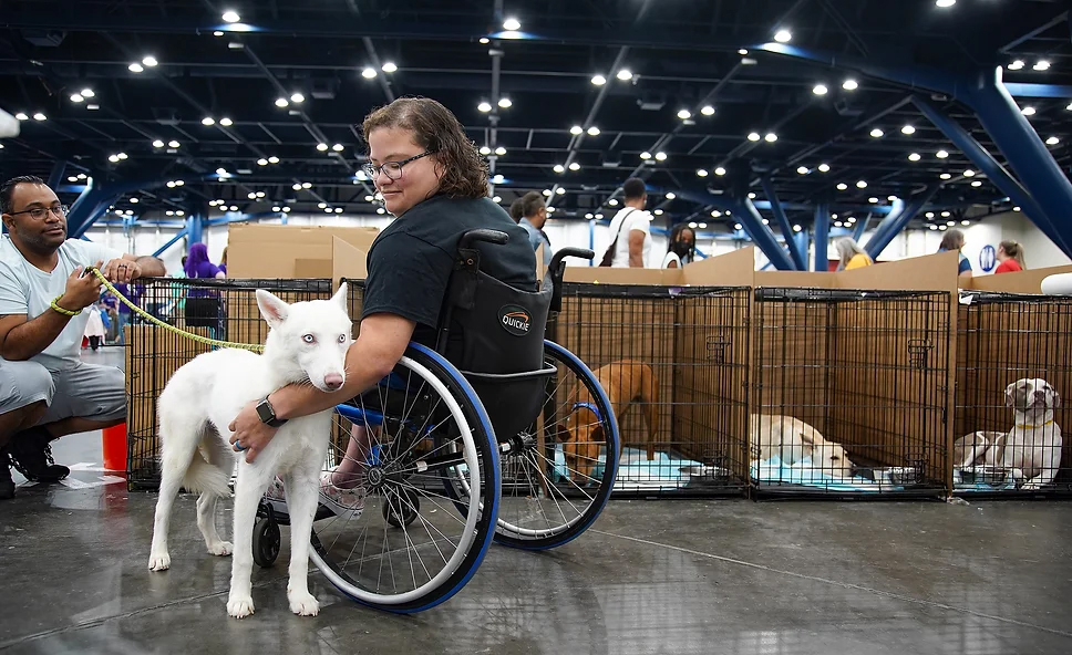 Fort Bend County Pets to Join Annual Mega Adoption Event at George R. Brown Convention Center