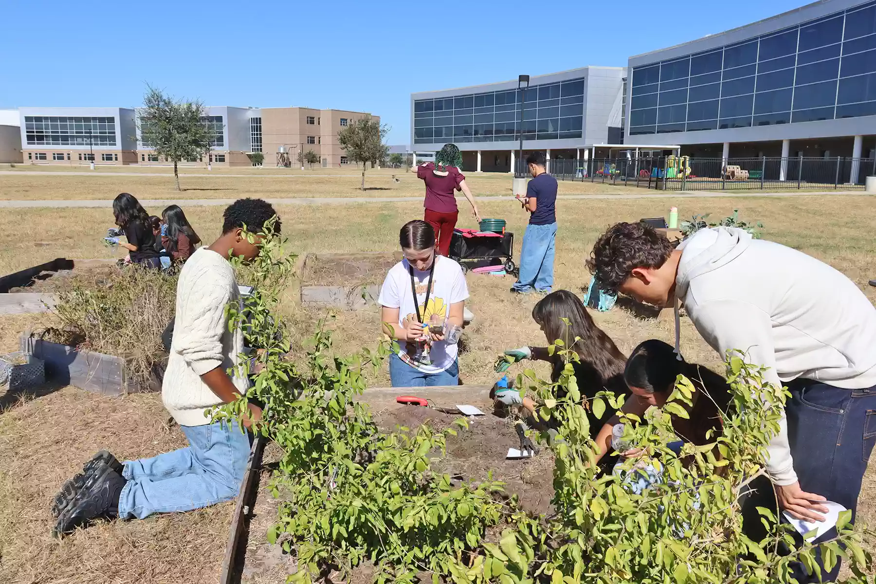 Cy Park High School Garden Club Receives Whole Kids Garden Grant from Whole Foods