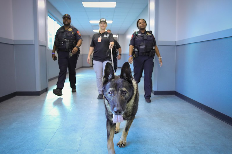 Katy ISD Partners with Needville-Based Covenant K9 Detection Services to Enhance School Security Measures