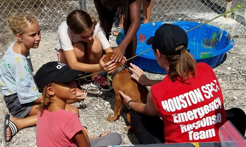 Houston SPCA Emergency Response Team Deploys to Tampa Bay for Disaster Relief