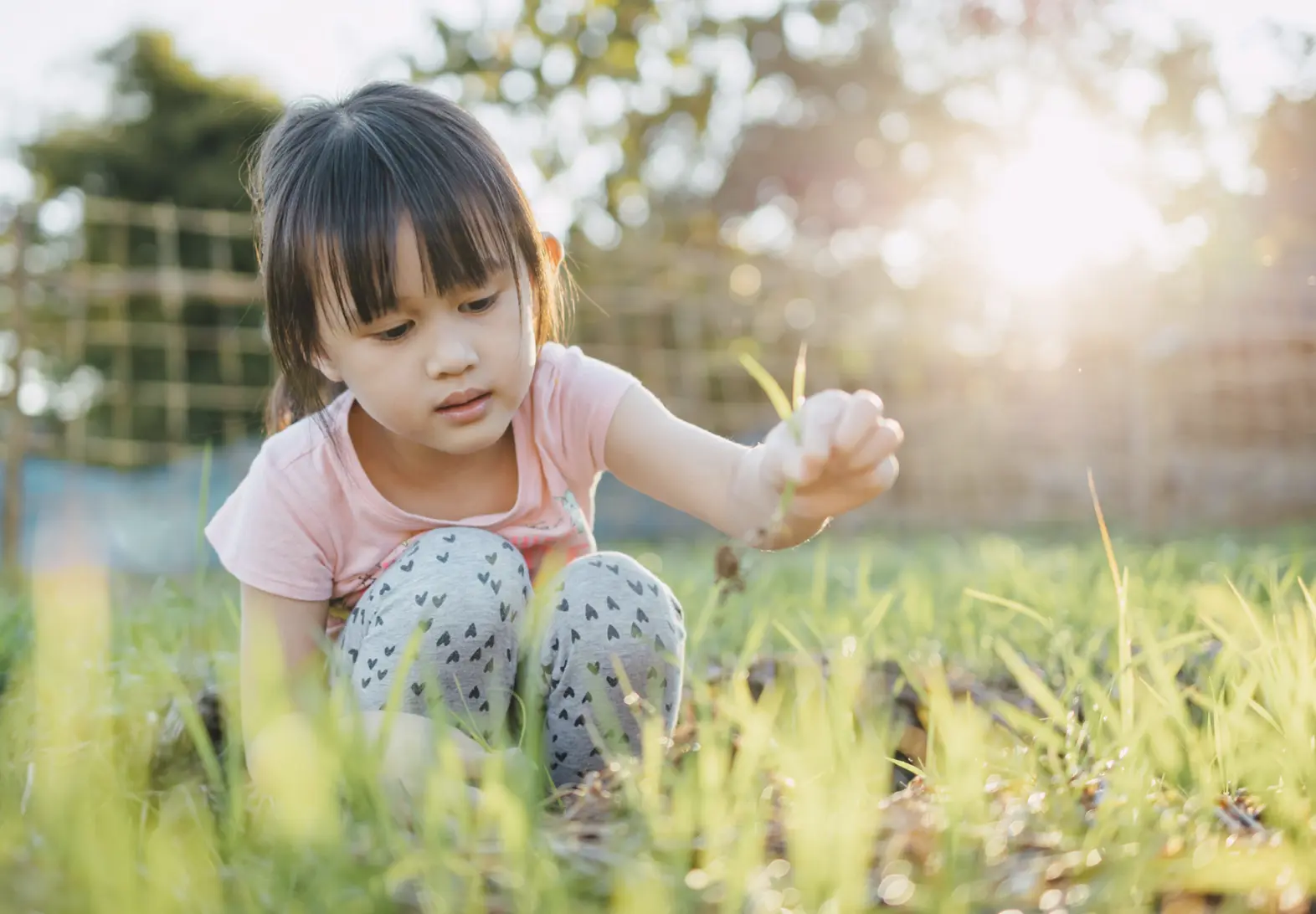 Fort Bend County Master Gardener Association Offers Free Gardening Guide for All