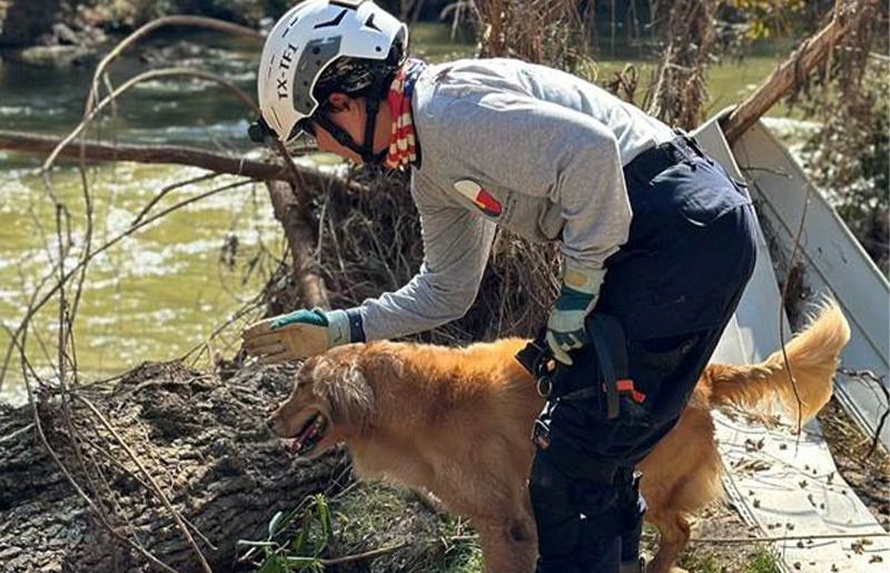 Heroic K9 Team from Cy-Fair Fire Department Joins Hurricane Helene Recovery Efforts