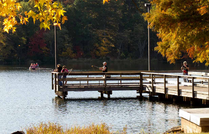 Explore These Texas State Parks for Stunning Fall Foliage