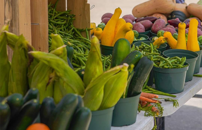 New Farmers Market Launches at Langham Creek YMCA in Copperfield