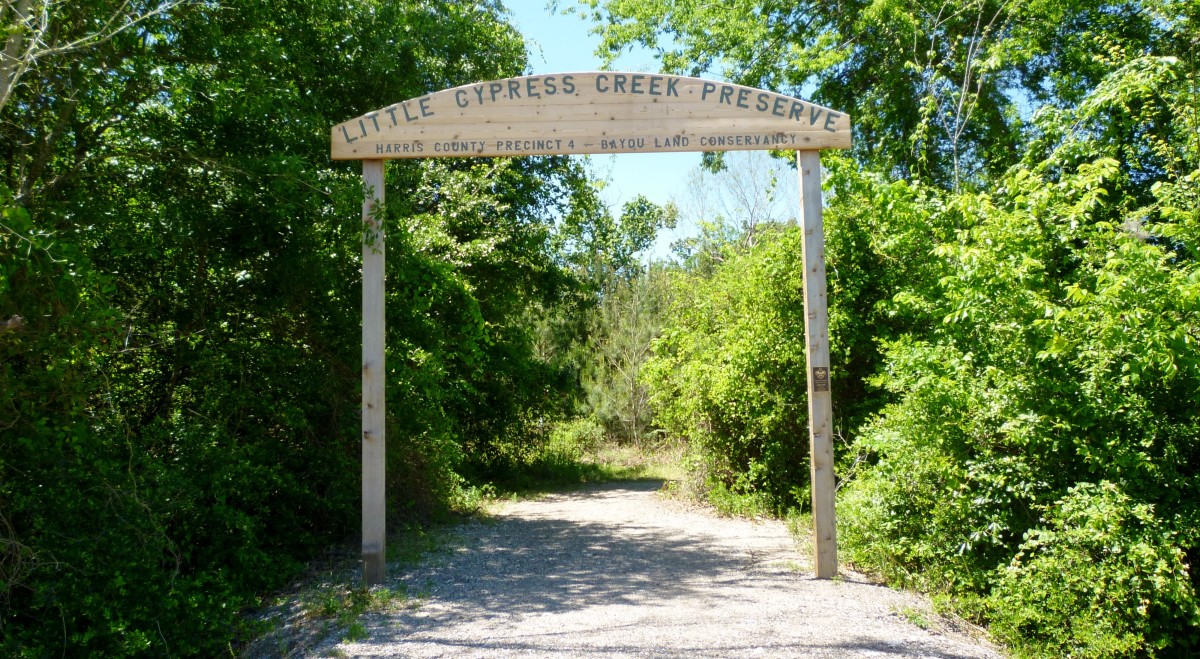 Cypress Area Featured Park: Little Cypress Creek Preserve