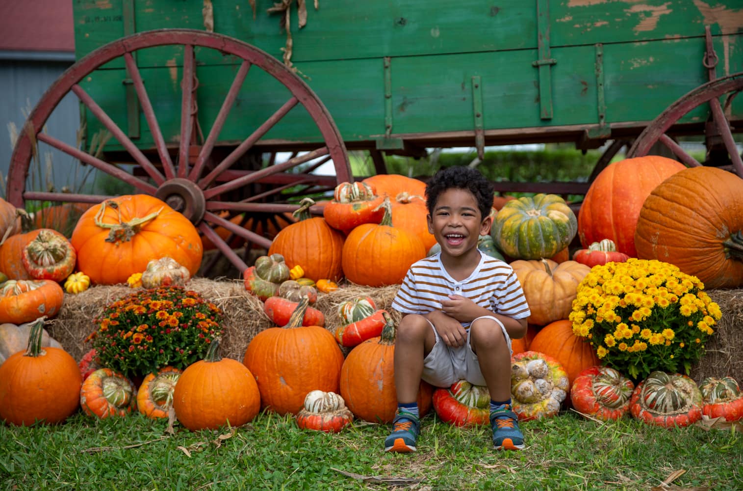 Experience the Magic of Fall with The Great Pumpkin Round Up at George Ranch Historical Park