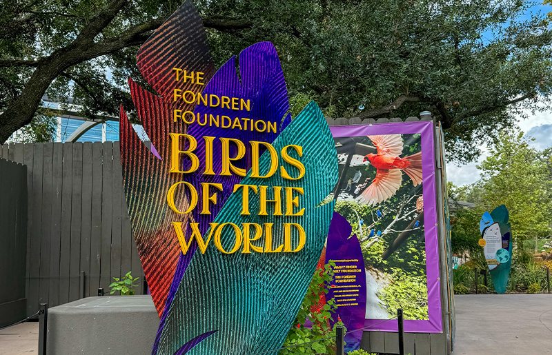 Houston Zoo Unveils Birds of the World Exhibit: A Landmark Step in Conservation and Education