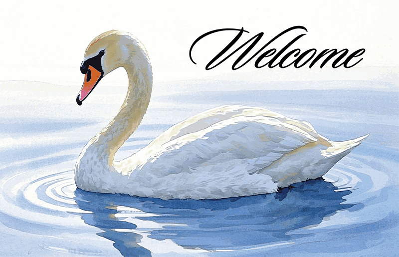 Lakes on Eldridge Welcomes New Swan, Julie, After Loss of Beloved Juliet