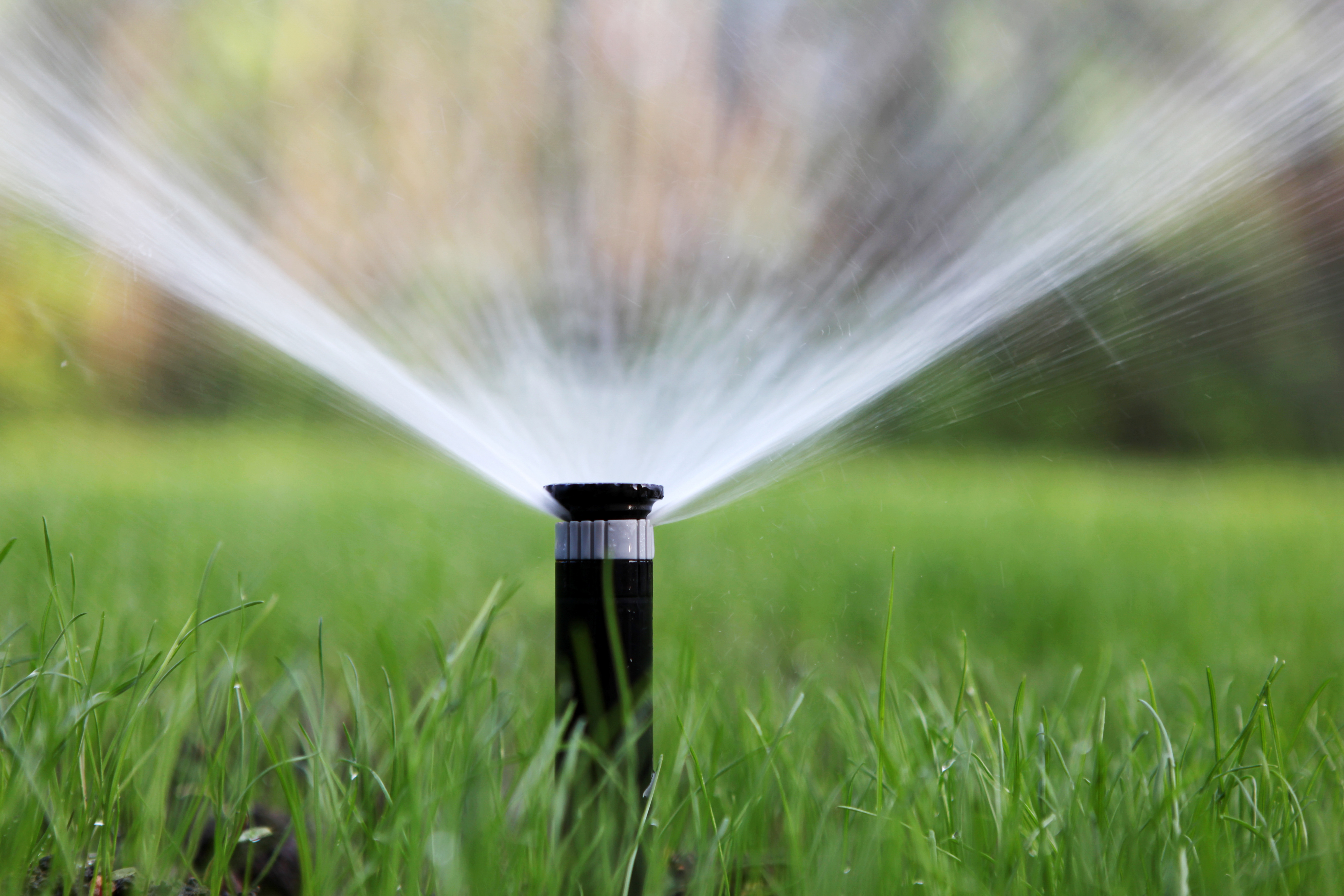 Free Water Irrigation System Evaluation