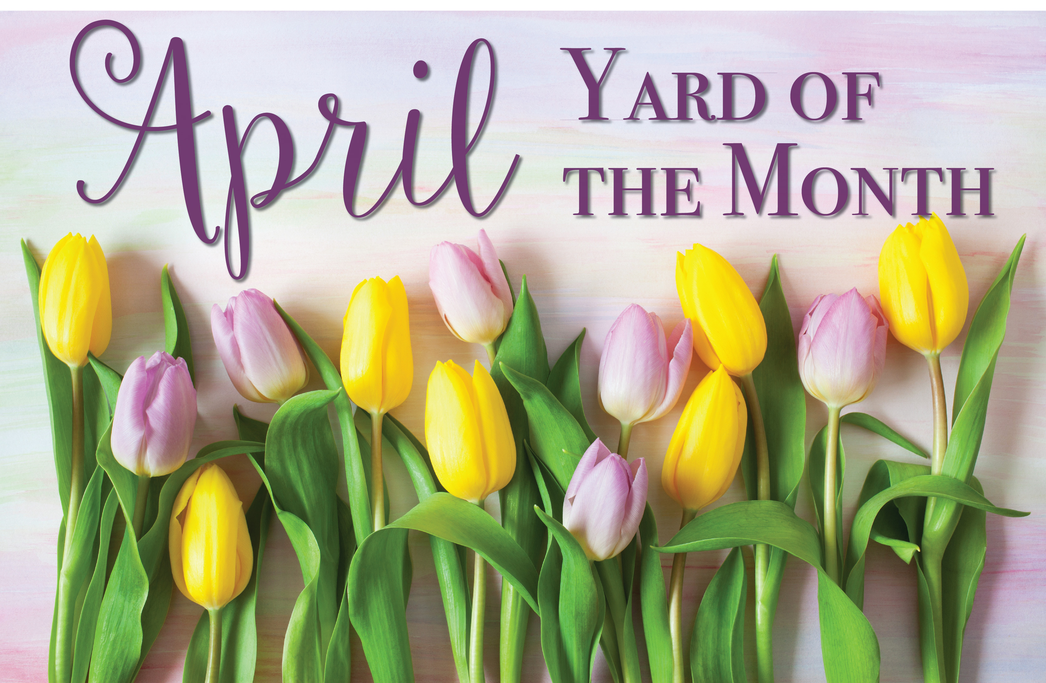Memorial Parkway Announces April Yard of the Month Winners