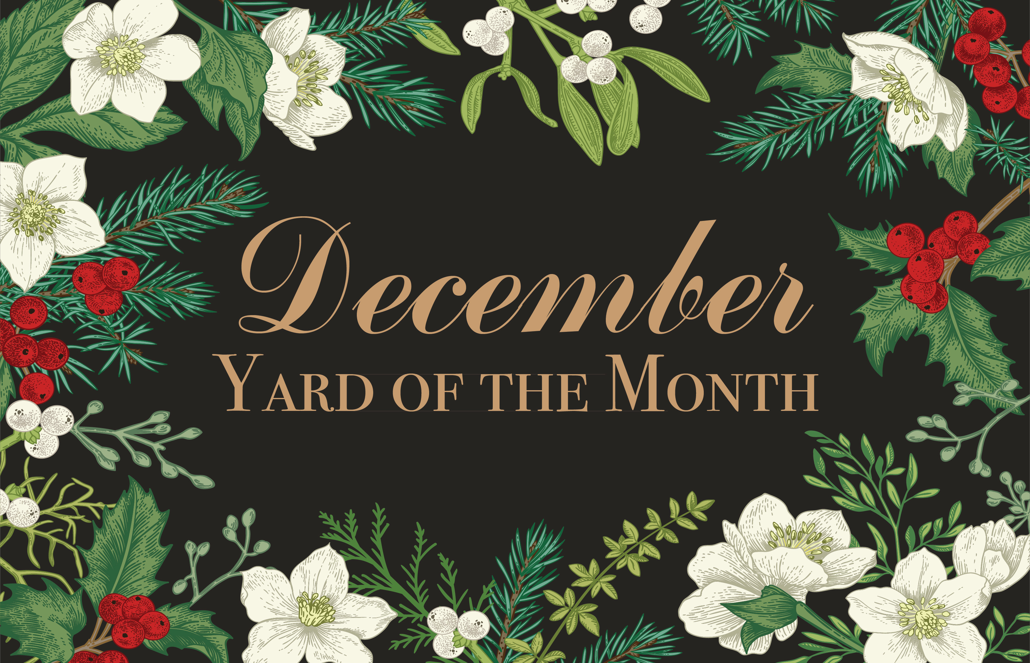 Hearthstone December Yard of the Month Winner