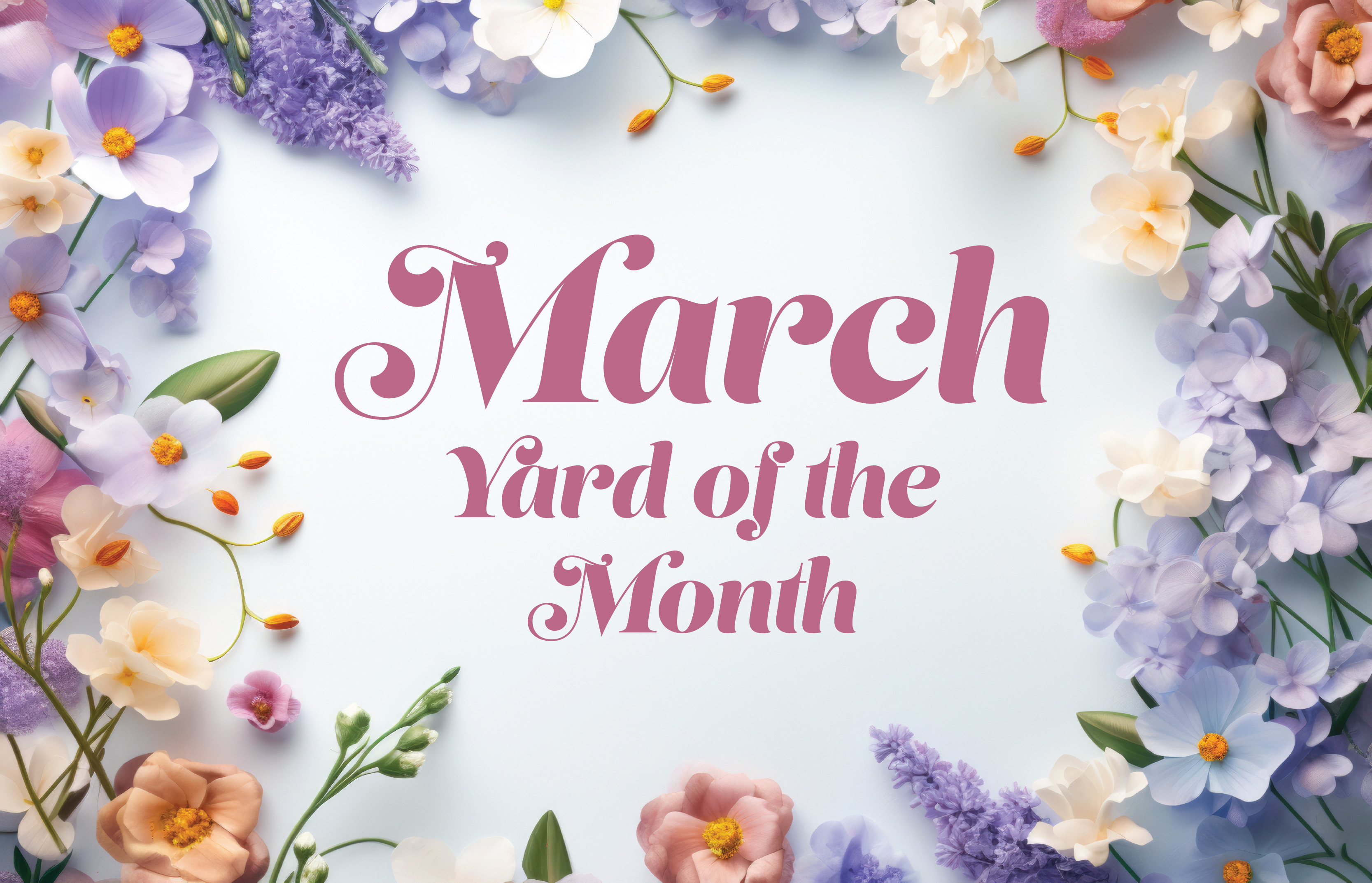 Hearthstone March Yard of the Month Winner