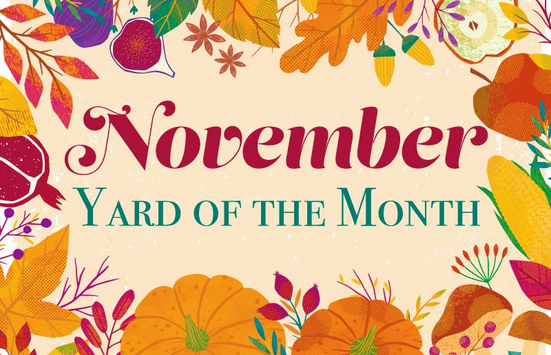 November Yard of the Month
