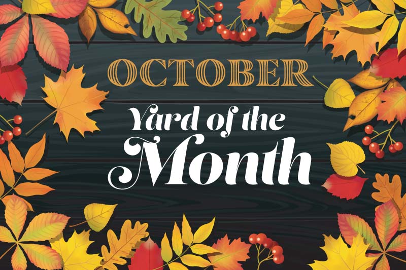 Hearthstone October Yard of the Month Winner