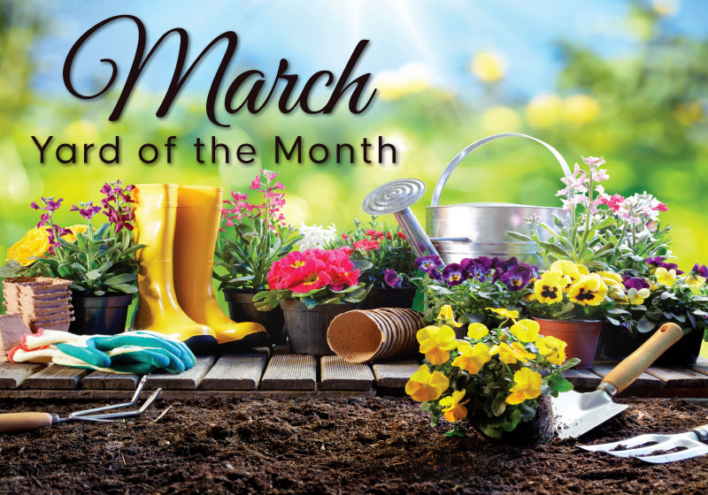 March Yard of the Month
