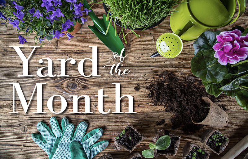 Learn More About the Westheimer Lakes Yard of the Month Program