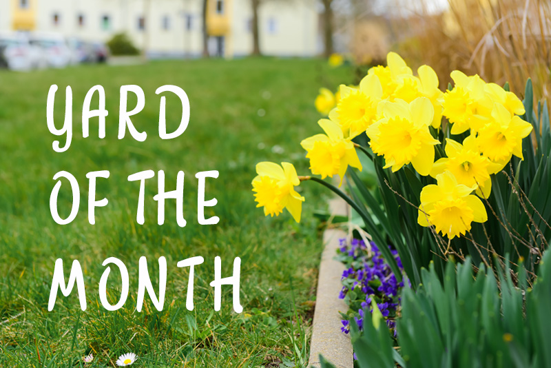Yards of the Month Winners for August